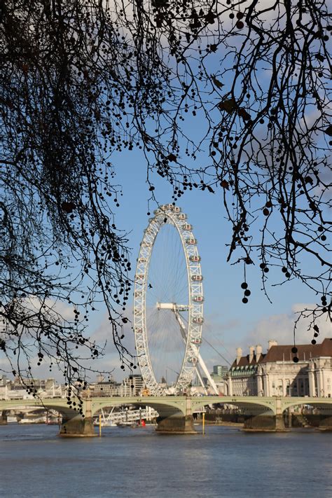 Big+Ass+Twerk+Gif Photos, Download The BEST Free Big+Ass+Twerk+Gif