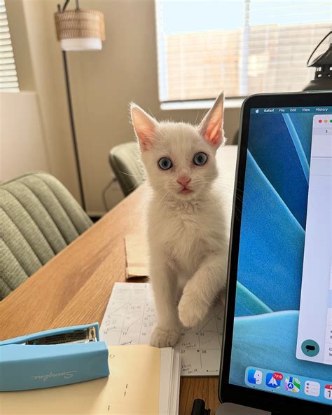 Nikki | My boy! He loves his mama. #LargeHeartedWallace #sweetboy #