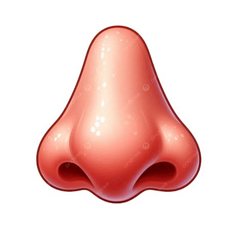 The Diary Of A Nose 3