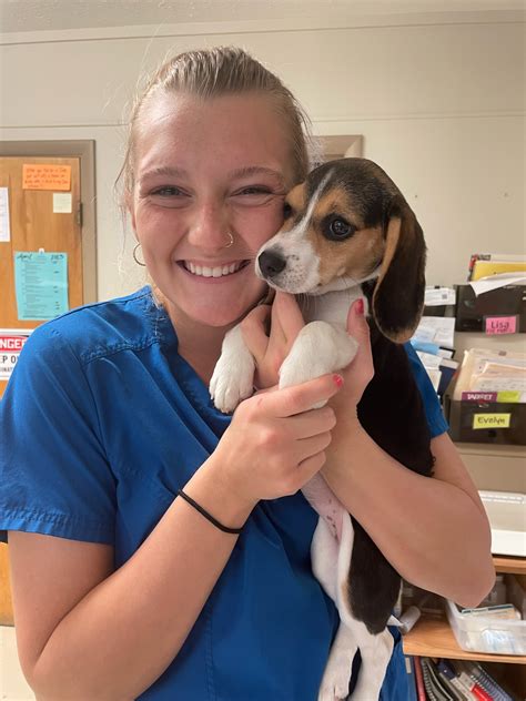 lafayette animal emergency clinic 10