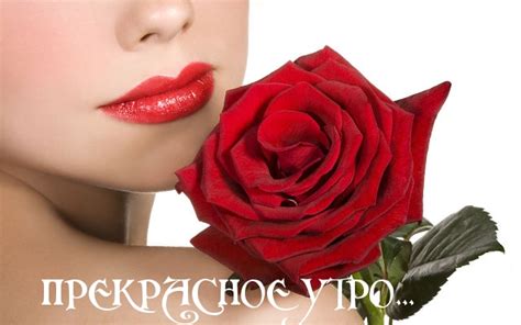 Картинки с надписями. ПРЕКРАСНОЕ УТРО.