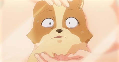 My Life As Inukai San's Dog - My Life As Inukai-San's Dog Anime: Key Visuals & Release Date Revealed!