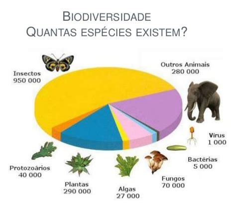 Quantas Especies Existem No Mundo