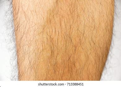 1,156 Hairy Nude Adult Royalty-Free Images, Stock Photos & Pictures