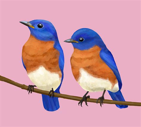 Painted a couple birds after not painting for a long time - felt good ...