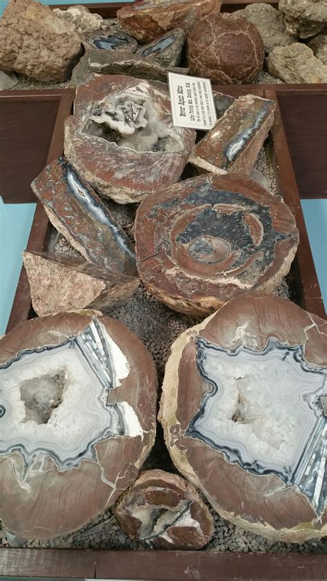 Terrazas obituaries deming nm are impacting how we remember locals