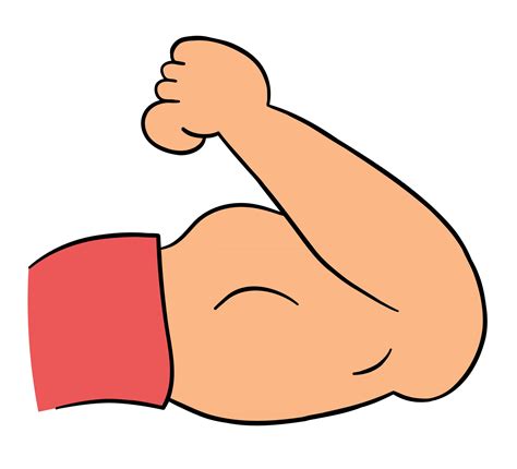 cartoon vector illustration  strong muscular arm biceps