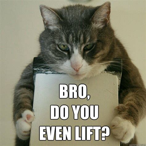 swole cat memes | quickmeme