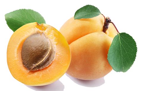 apricot slice dried fruit cut transparent
