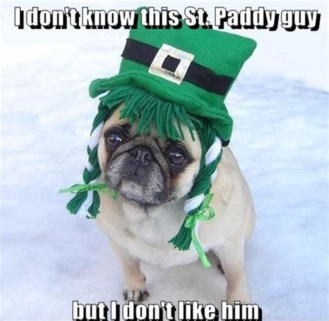 Top 10 Hilarious St. Patrick's Day Images That Will Make You Laugh Out Loud! - Hunter Games Magazine