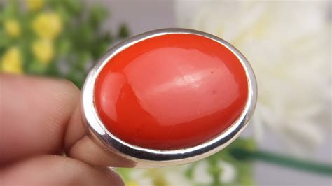 red coral moonga strengthens mars   zodiac signs