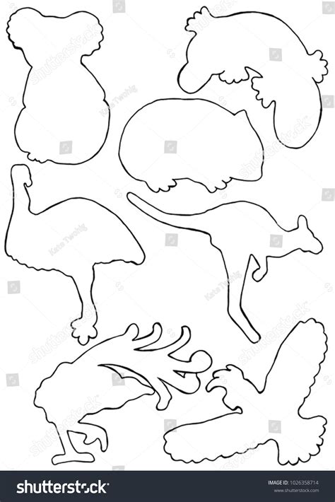 australian animals birds outline vector drawings stock vector royalty