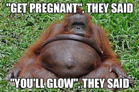 35 Funny Pregnancy and New Moms Memes That Will Make You Laugh