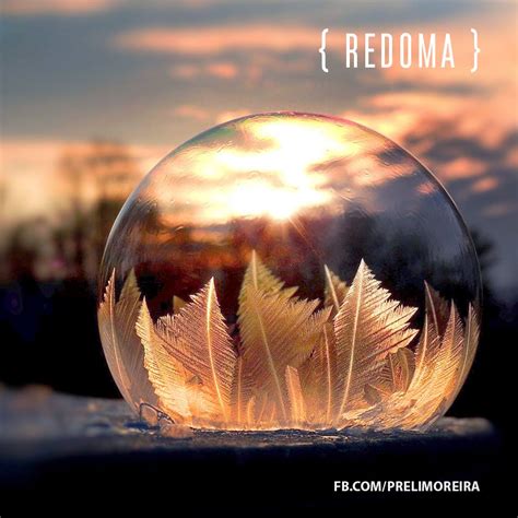 redoma  escravidao das proprias escolhas