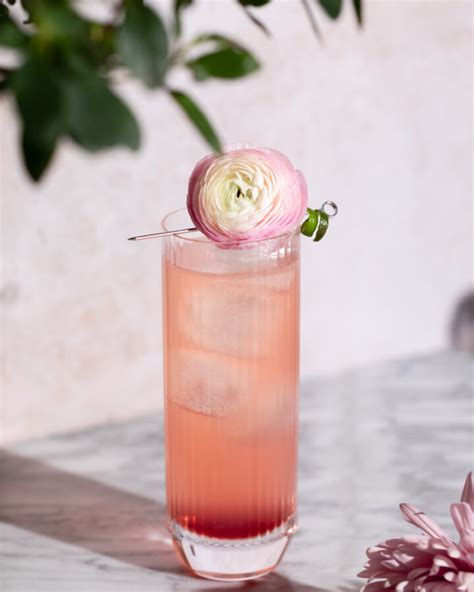 Clover Club Cocktail (Non-alcoholic) | Fanciful Eats