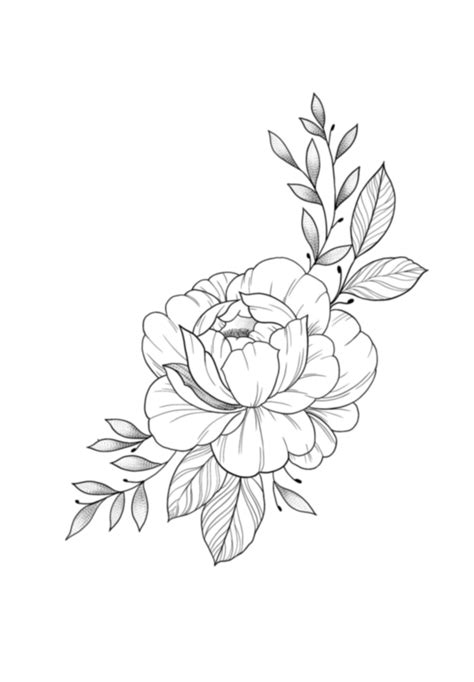 Pin by Jessica Hahn Pack on Gnome/Garden/Flowers Drawings in 2025