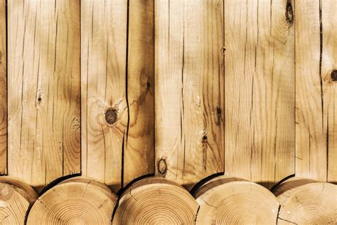 14 Types of Wood for Woodworking Or Construction Projects