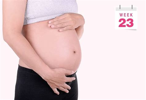 weeks pregnant symptoms baby size body
