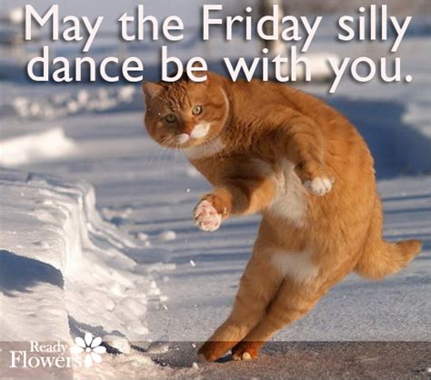 Happy Friday Eve Cat Meme