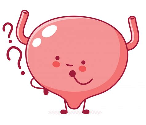 FYZICAL Clackamas : Urinary Incontinence Rehab