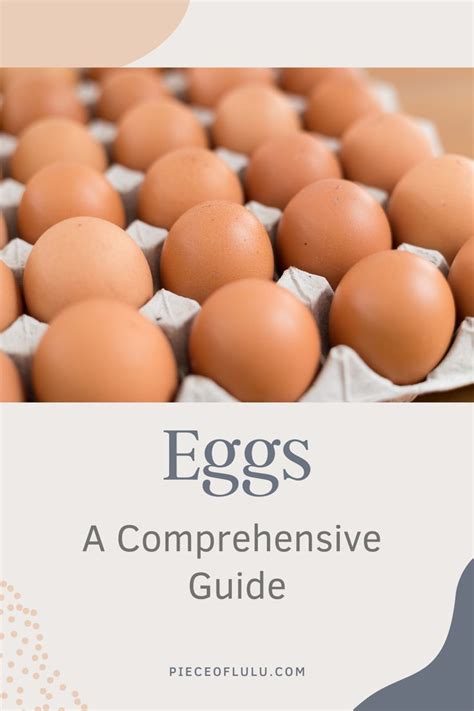 eggs  comprehensive guide professional nutritionist piece  lulu