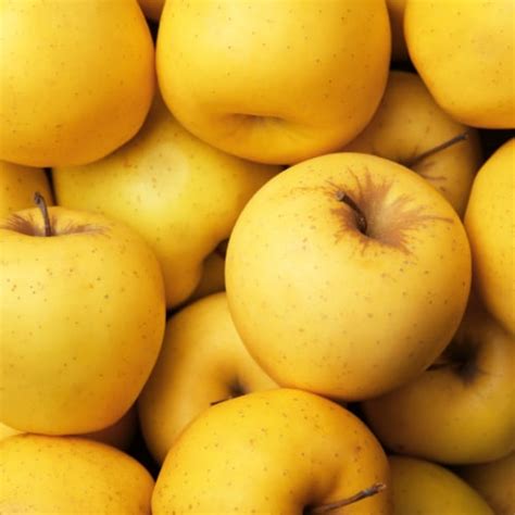 small golden delicious apple  small  count frys food stores
