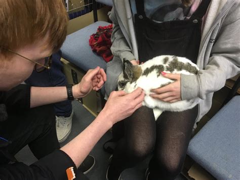 History@Royal Holloway - Home | Facebook