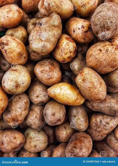 Photo Taken from a Trip To the Market, the Photo Looks at Potatoes, One