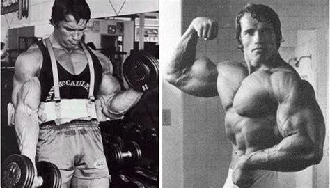 Arnold Schwarzenegger arm workout routine