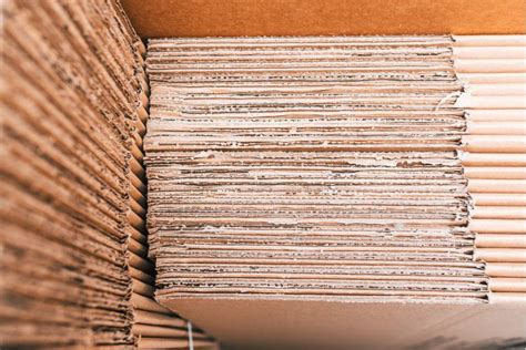 proyectos sociales  ecologicos  carton reciclado maquinaria