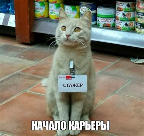 Картинки ржу не могу (50 фото) • Klike.net