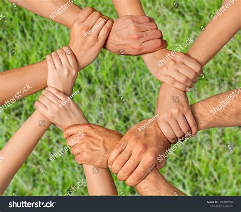 hold  kham pha  nghia va cach su dung hieu qua