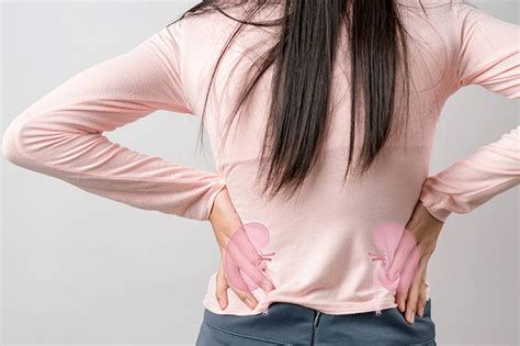 Early-stage discoveries for Probiotics - Nature's Food Patch