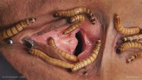 Insect Pussy Insertion - Xxx Pics