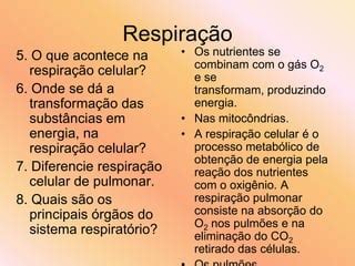 Roteiro respiracao | PPT