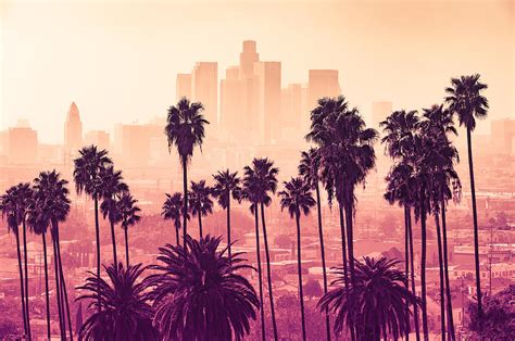 History, Los Angeles County: Palm Trees in Los Angeles