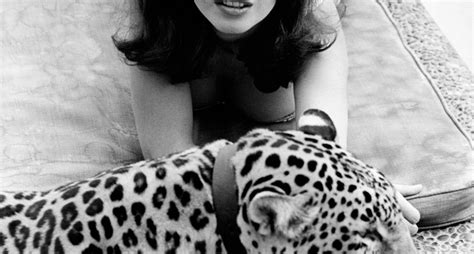 Lana and the Leopard: Wild cats together | Classic Driver Magazine