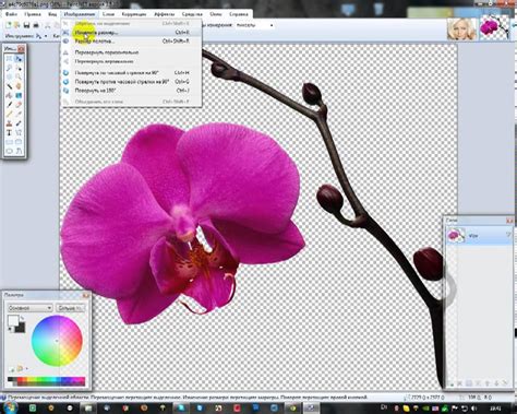Урок для начинающих Работа в графическом редакторе Paint.net - YouTube