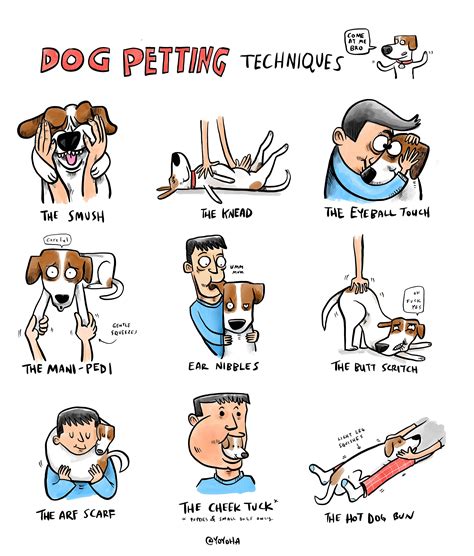 dog petting techniques, illustrated : r/comics