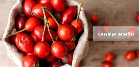 Rose Hips Benefits: Berries That Boost Your Overall Well Being