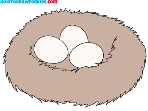 how to draw a nest of a bird