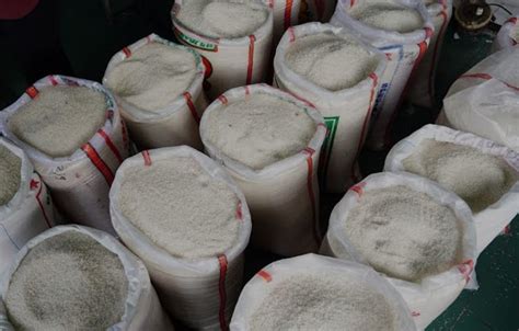 panen beras diprediksi maret  harga beras  tentu turun