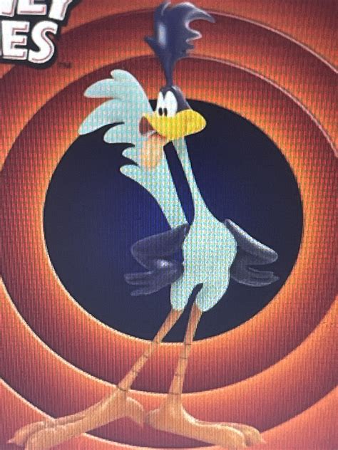 Service Information and Operational Schedule for Road Runner 2 9