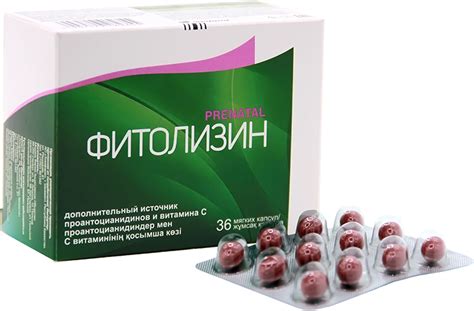Паста или капсулы Фитолизин — что лучше выбрать | В чем разница