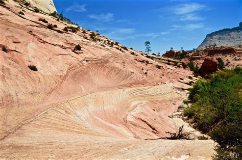 Visit Zion: 2024 Travel Guide for Zion, Illinois | Expedia