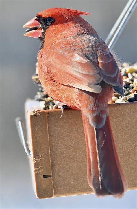 Marnocha Funeral Home | Pulaski WI