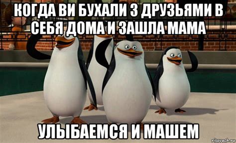 Лучшие мемы пингвины Мадагаскара - Рисовач .Ру