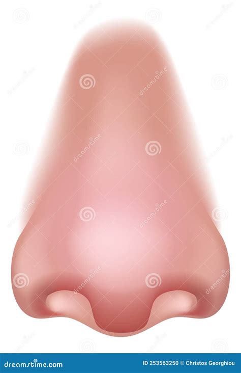 Nose Five Senses Human Body Part Sense Organ Icon Stock Vector ...