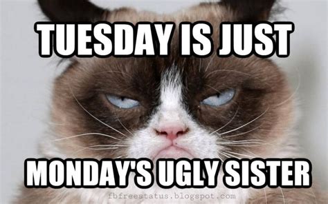 Funny Tuesday Quotes to be Happy on Tuesday Morning | Tuesday quotes ...