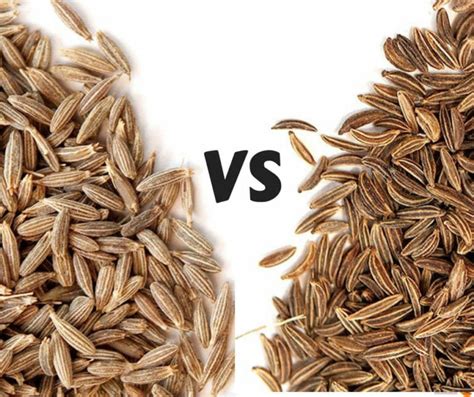 What is the difference between Caraway VS Cumin seeds. Use the right ...